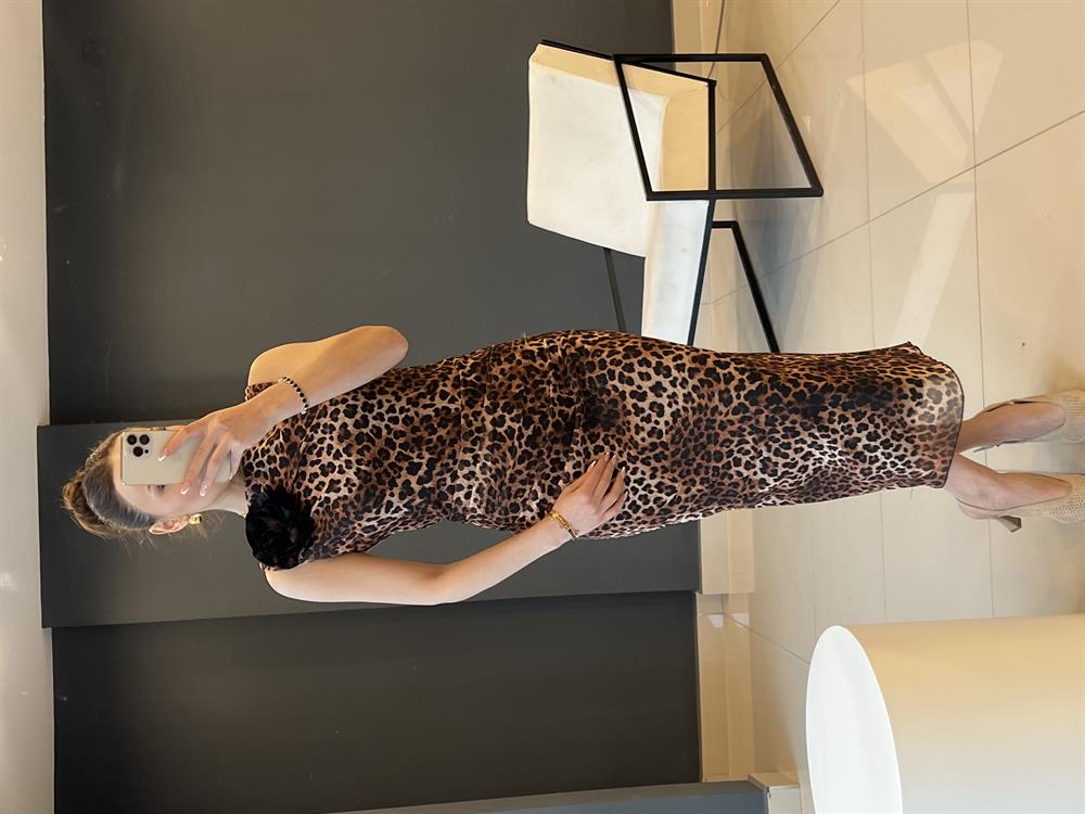 Leopar Drapeli̇ Gül Detayli Elbi̇se
