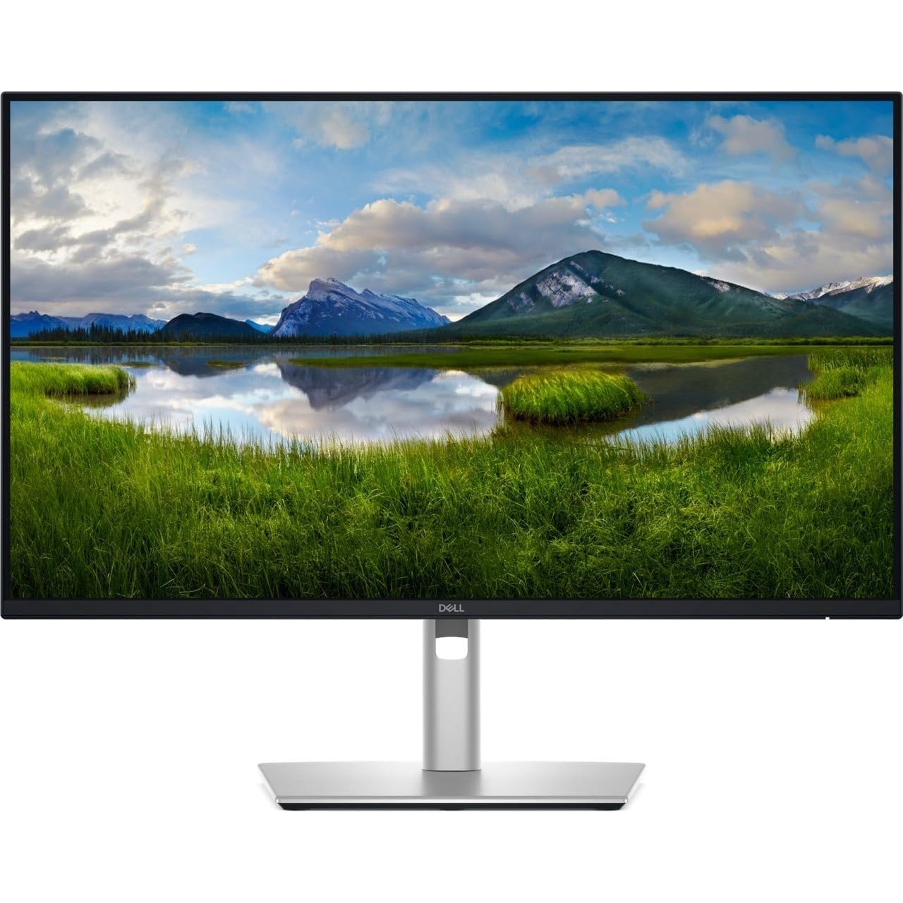DELL PRO P2425D 24