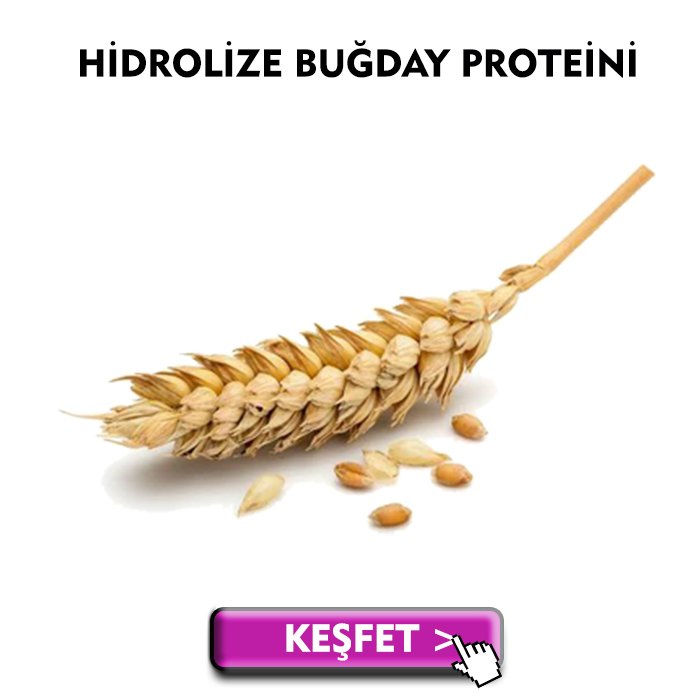 Buğday Proteini