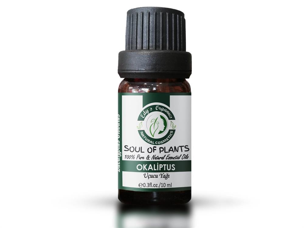 Okaliptus (Globulus) Uçucu Yağı 10 ml