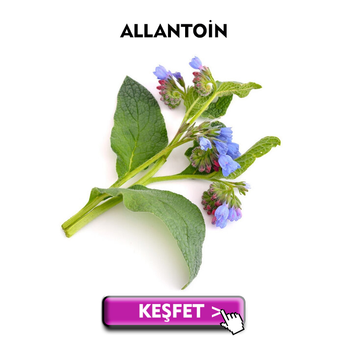Allantoin