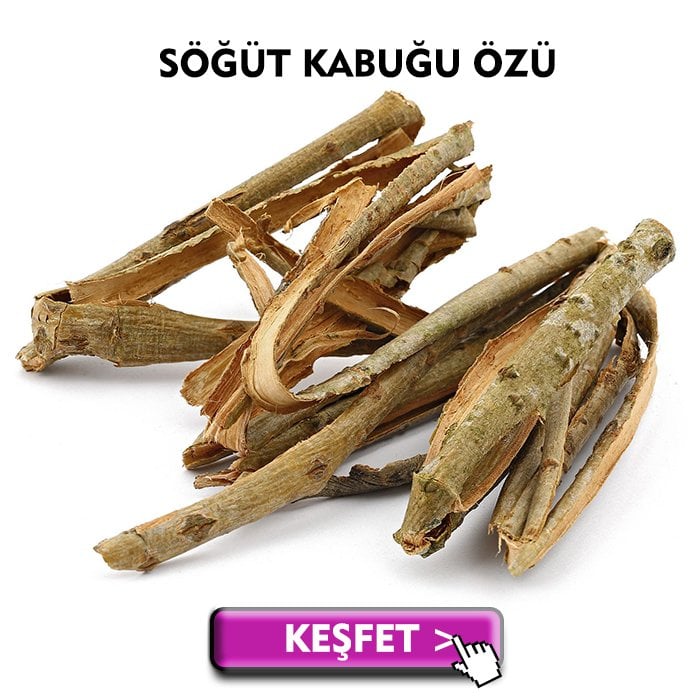 söğüt kabuğu özü