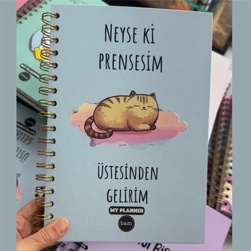 Neyseki Prensesim Üstesinden Gelirim Konuşan Ajanda
