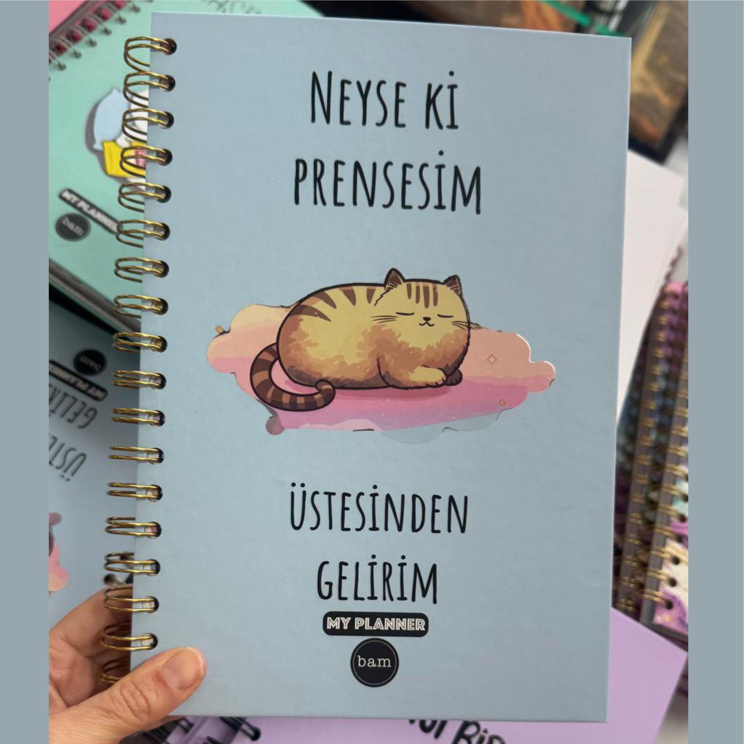 Neyseki Prensesim Üstesinden Gelirim Konuşan Ajanda
