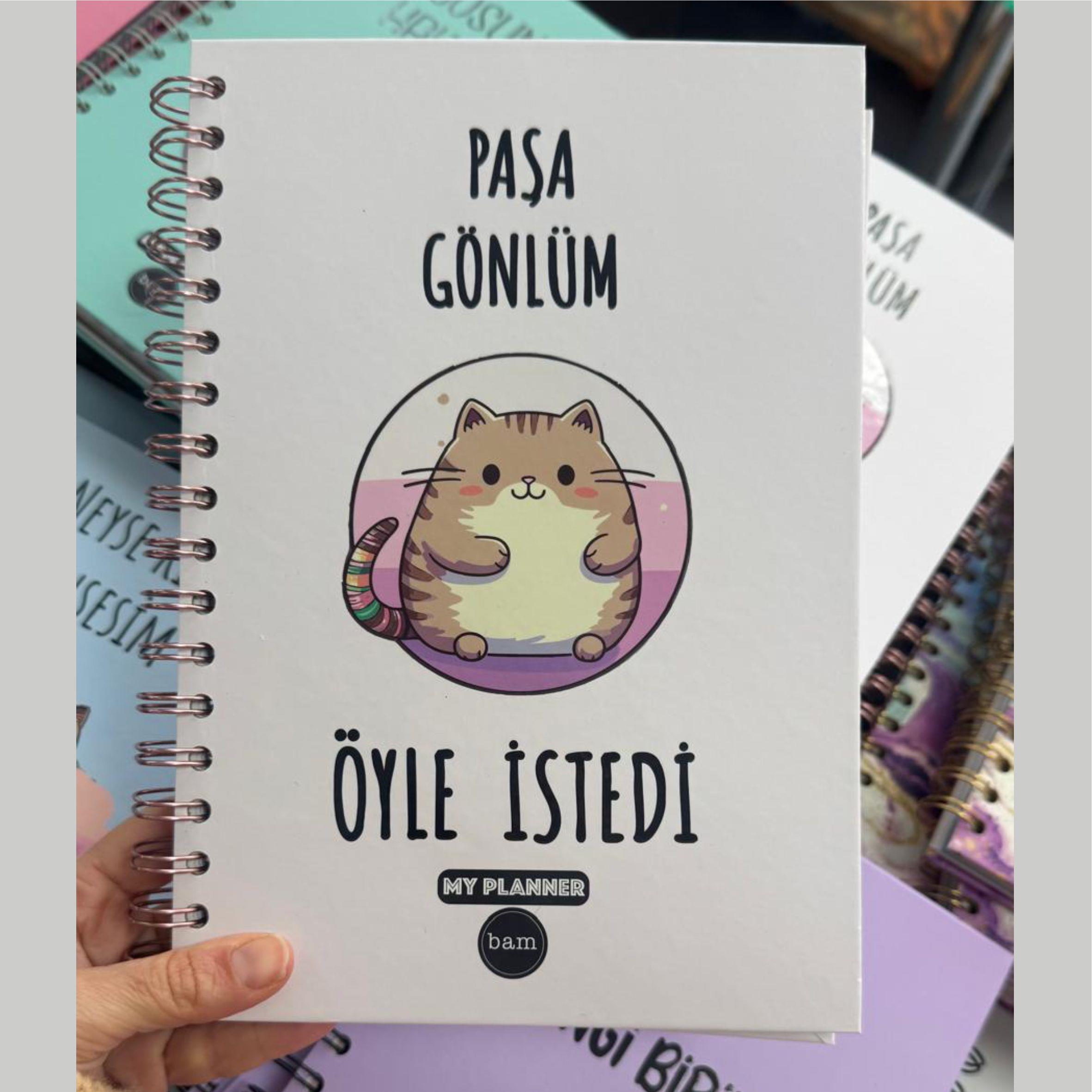 Paşa Gönlüm Öyle İstedi Konuşan Ajanda