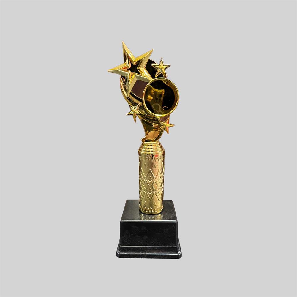Yıldızlı Altın Ödül Kupası AL03 (35 cm)