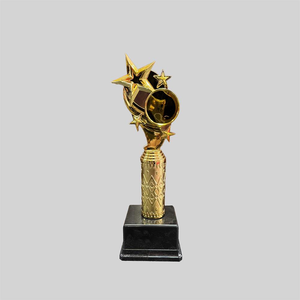 Yıldızlı Altın Ödül Kupası AL04 (32 cm)