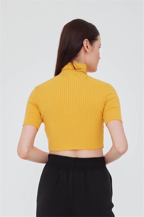 (2.Grup) Turtle Neck Short Sleeve Knit Crop Top