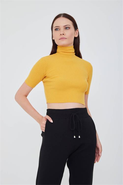 (2.Grup) Turtle Neck Short Sleeve Knit Crop Top