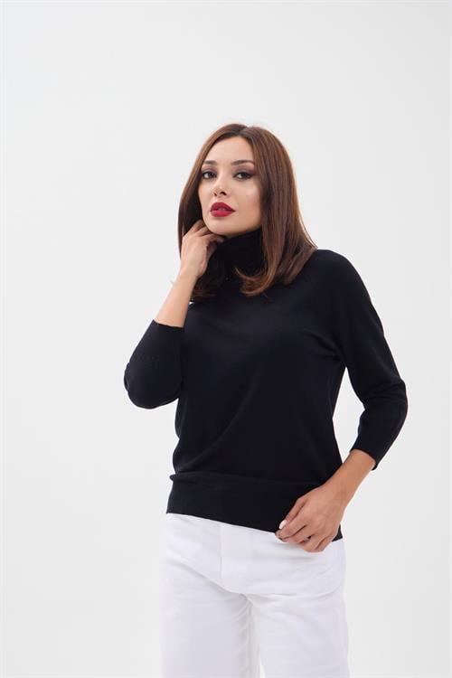 Knit Fitted Sleeve Turtleneck Sweater - Black