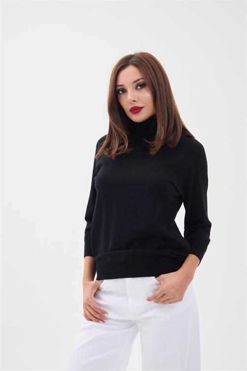 Knit Fitted Sleeve Turtleneck Sweater - Black