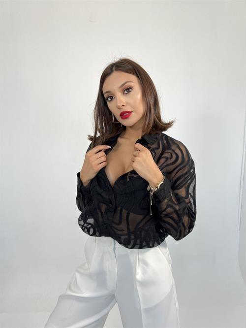 Wholesale Shirt Taranto