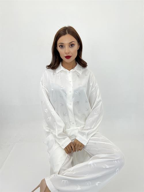 Wholesale Suit-Parma