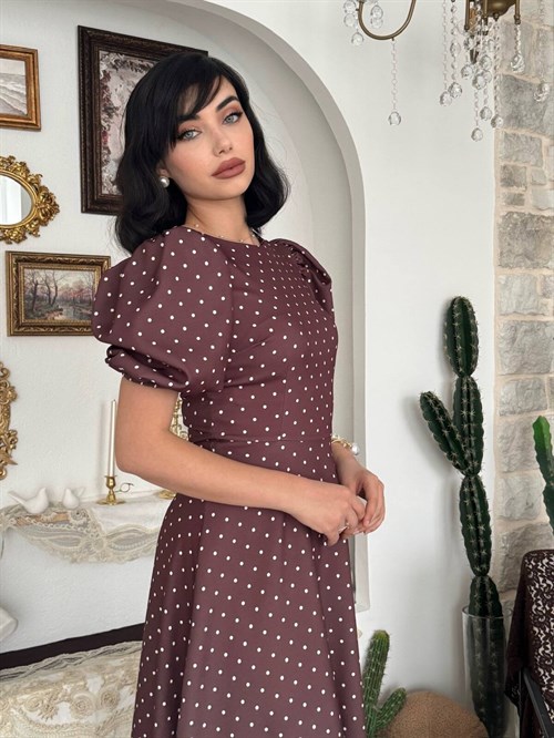 Agle Balloon Sleeve Dress