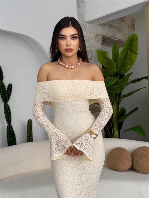 Arya Strapless Lace Dress