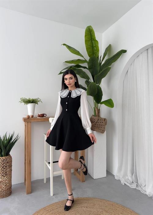 Asio Baby Collar Dress