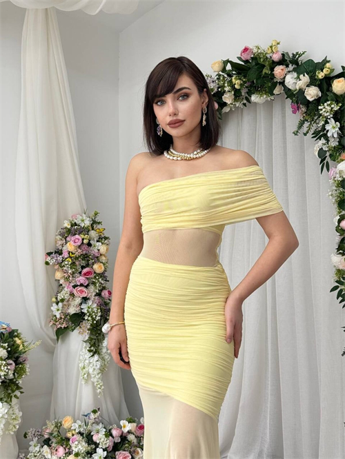 Bark Transparent Dress