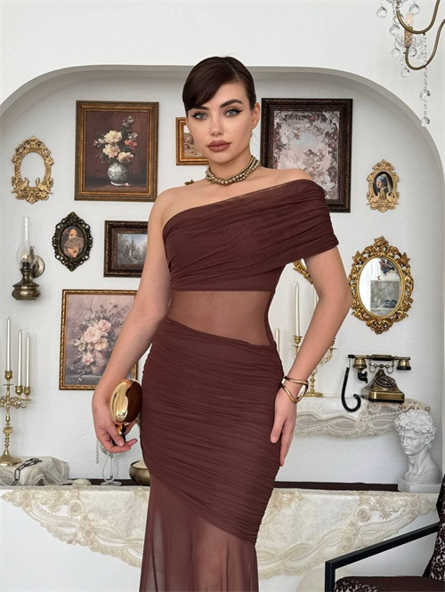 Bark Transparent Dress