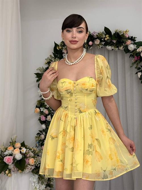 Bery Mini Dress