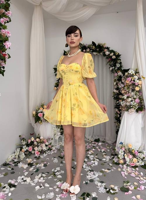 Bery Mini Dress