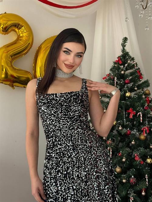 Dega Sequin Dress