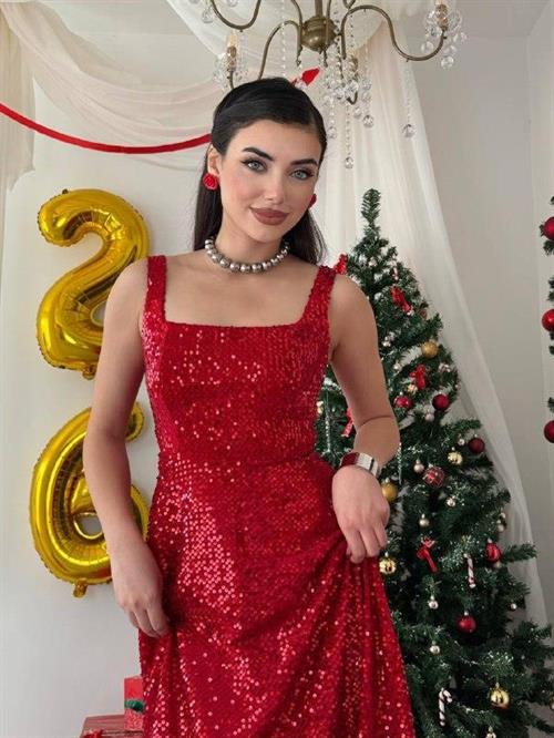 Dega Sequin Dress