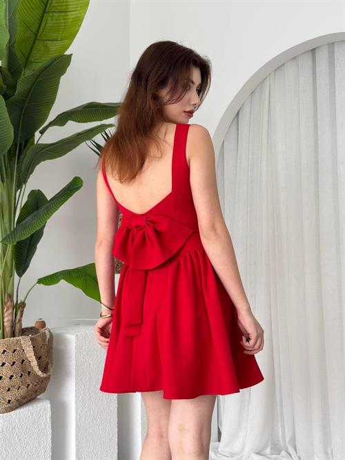 Dreas Bow Detailed Dress