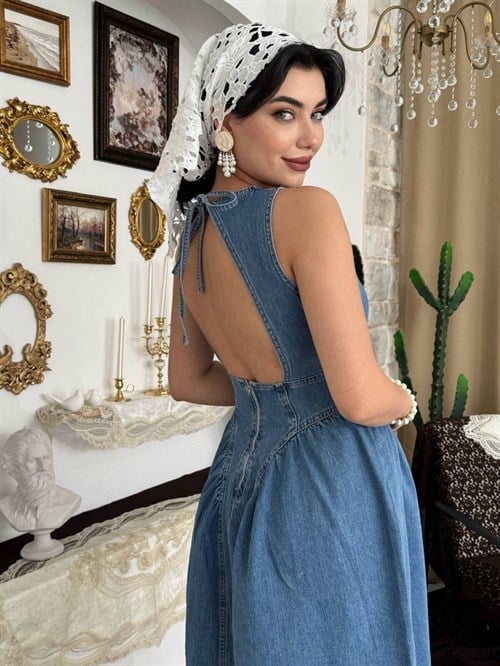 Jere Denim Dress with Backless Detail