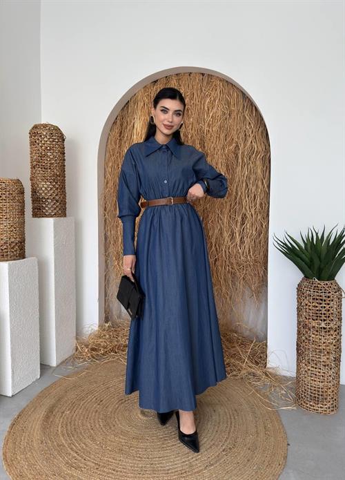 Peju Denim Dress