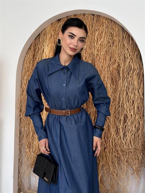 Peju Denim Dress