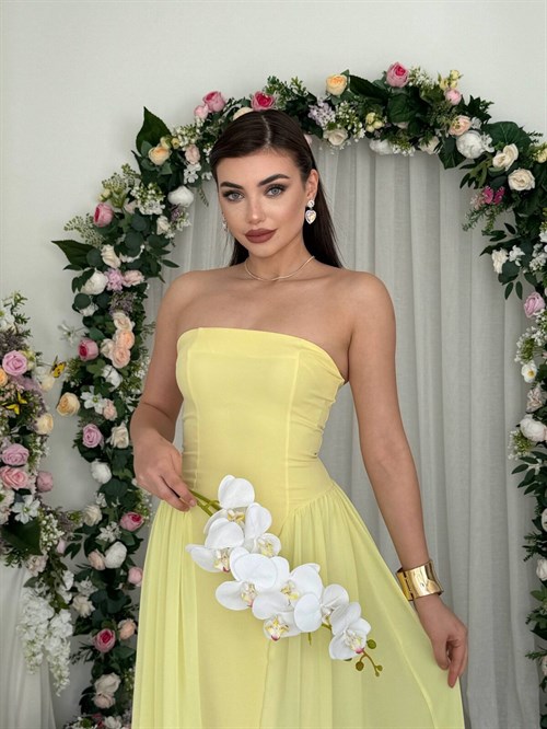 Reny Strapless Dress