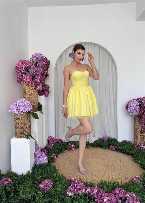 Xoxa Strapless Dress