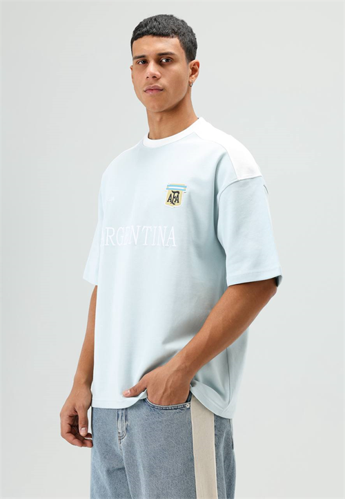 Wholesale Mens Light Blue T-Shirt