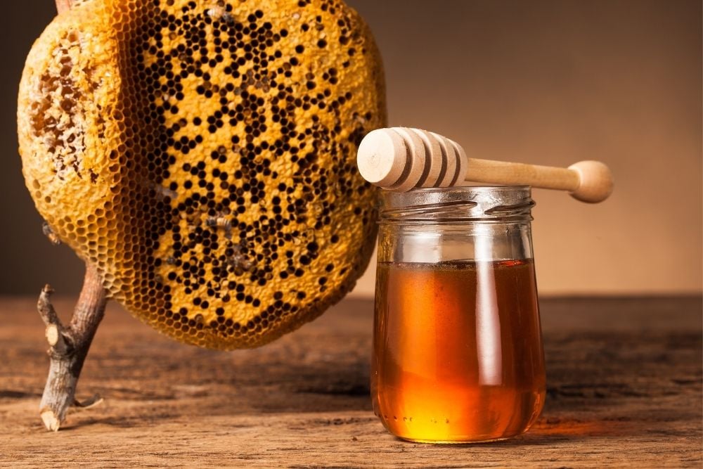 Çam Balı Nedir? Faydaları ve Datça Murat Çiftliği Organik Çam Balı