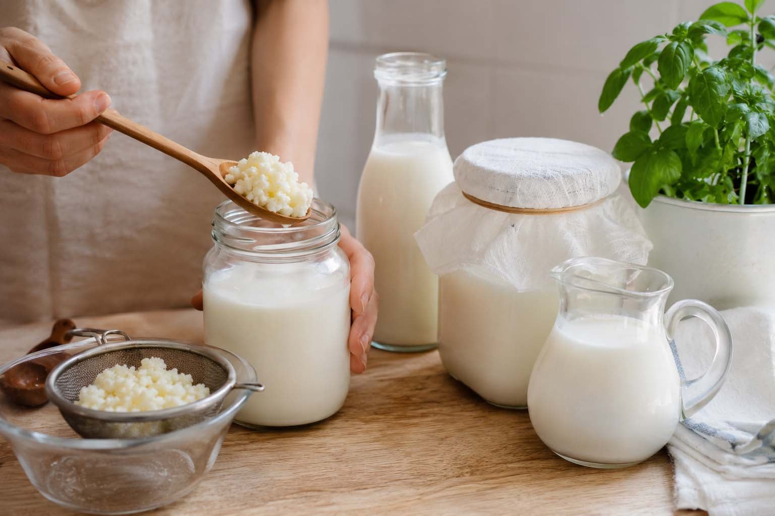 evde kefir nasıl yapılır