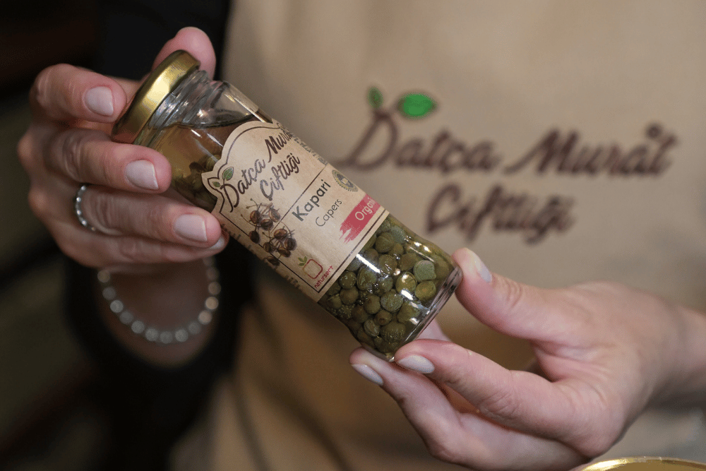 Organik kapari nedir, kapari faydaları, kapari turşusu ve kapari çayı – Datça Murat Çiftliği