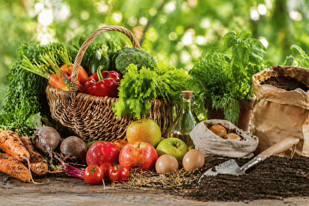 Organik ürün nasıl anlaşılır ve etiket kontrolü nasıl yapılır