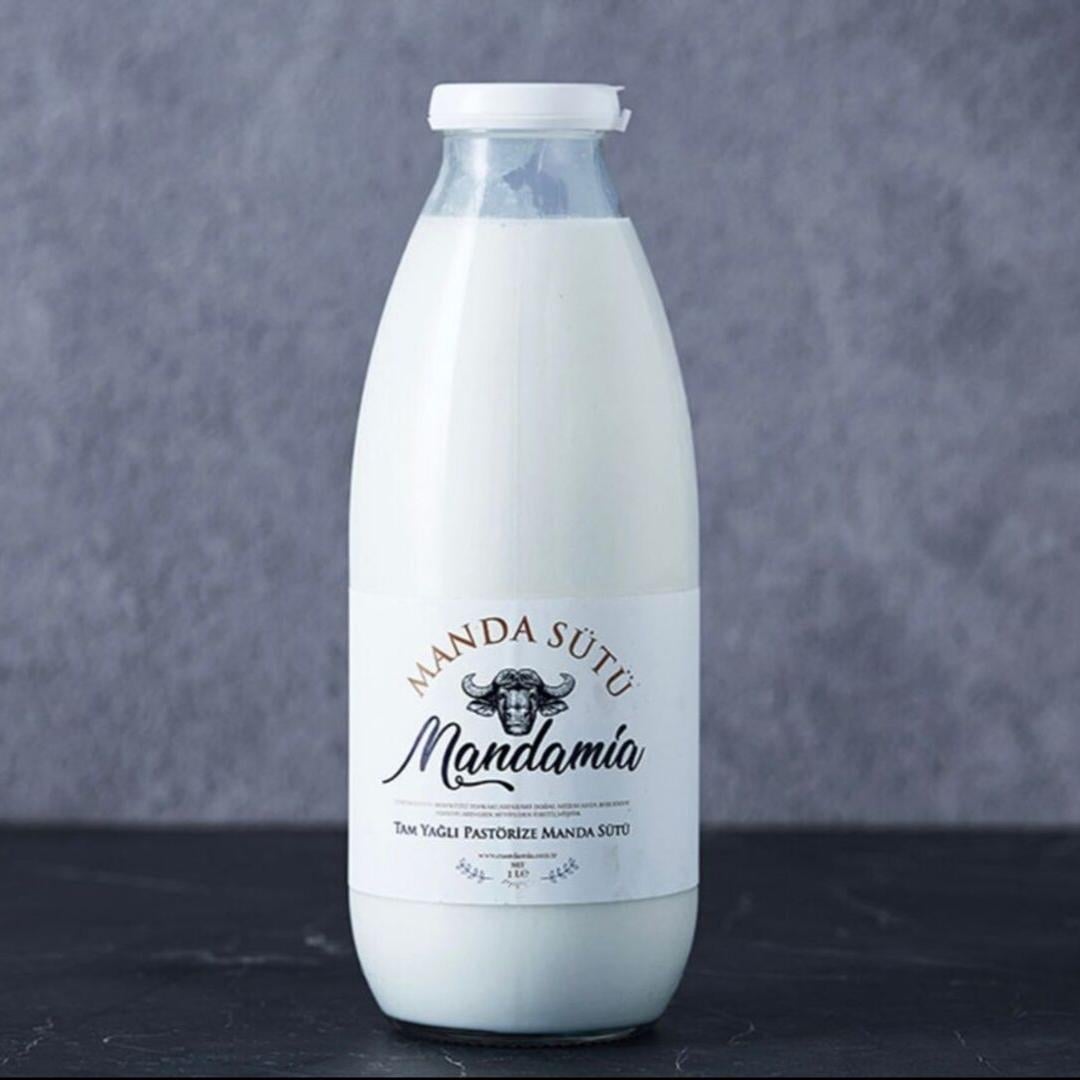 Pastörize Manda Sütü 1 LT - Mandamia