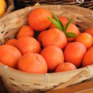 Organik Mandalina 500 Gr