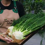 Organik Rezene Bağ - ( 1 kg - 1,3 Kg )