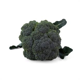 Organik Brokoli 500 gr