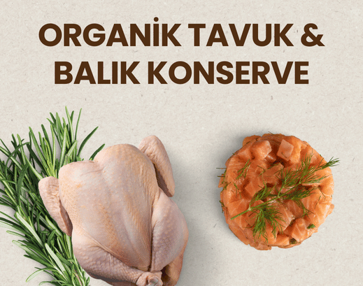 Et, tavuk ve balık konserve
