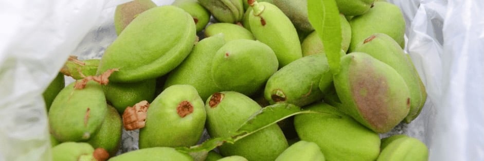 Çağla Cacığı Nasıl Yapılır