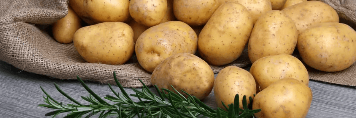 Patates Nasıl Saklanır