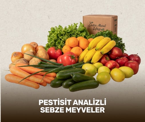 Temel Gıda
