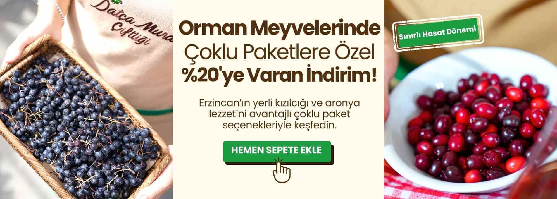 Dağ meyvelerinde %20 varan indirim