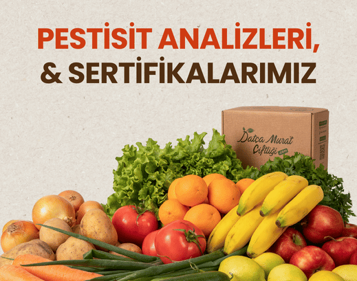 pestisit analizli organik sebze meyveler