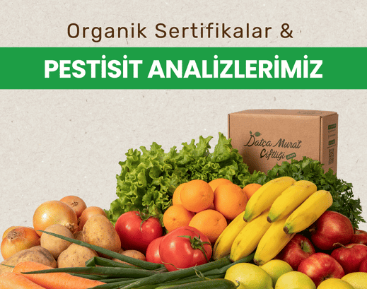 pestisit analizli organik sebze meyveler