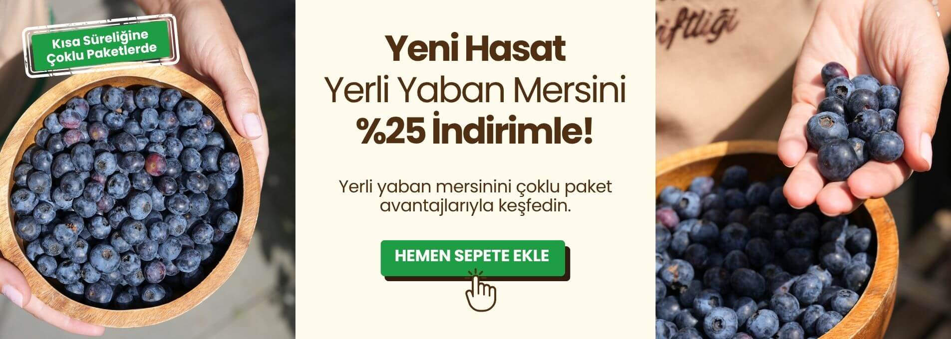 Yaban Mersini