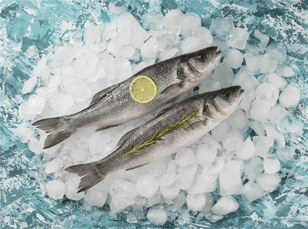 Balık Ye - Levrek ( 200-300 gr )